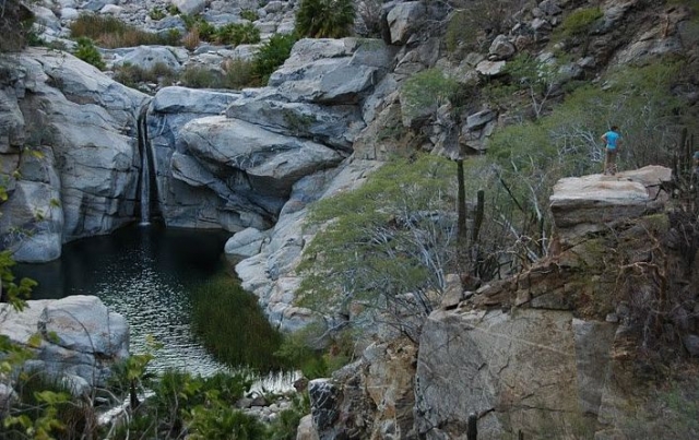 La cascada de la biosfera